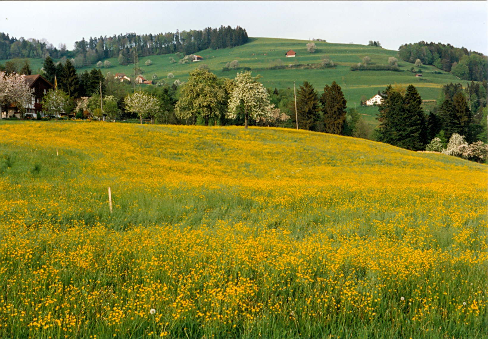 Schweiz 07